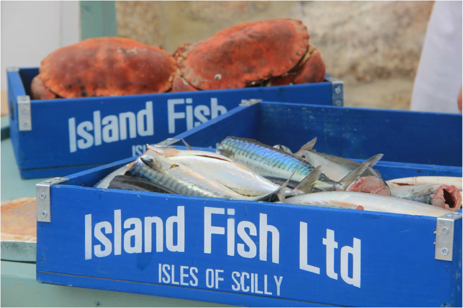 Crates of fish and crab from Island Fish Bryher Isles of Scilly