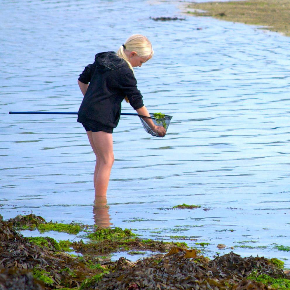 Shrimping on Bryher